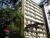 Apartamento, 3 quartos, 364 m² - Foto 2