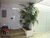 Sobrado, 3 quartos, 164 m² - Foto 2