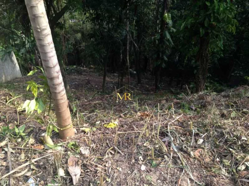 Terreno, 1200 m² - Foto 7