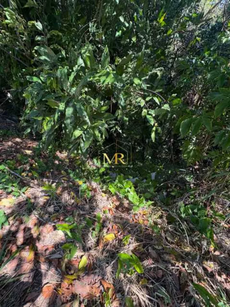 Terreno, 1200 m² - Foto 24