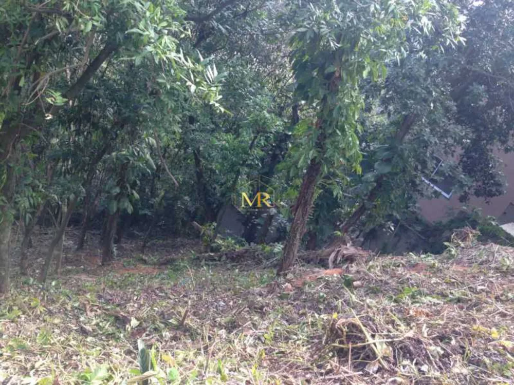 Terreno, 1200 m² - Foto 8