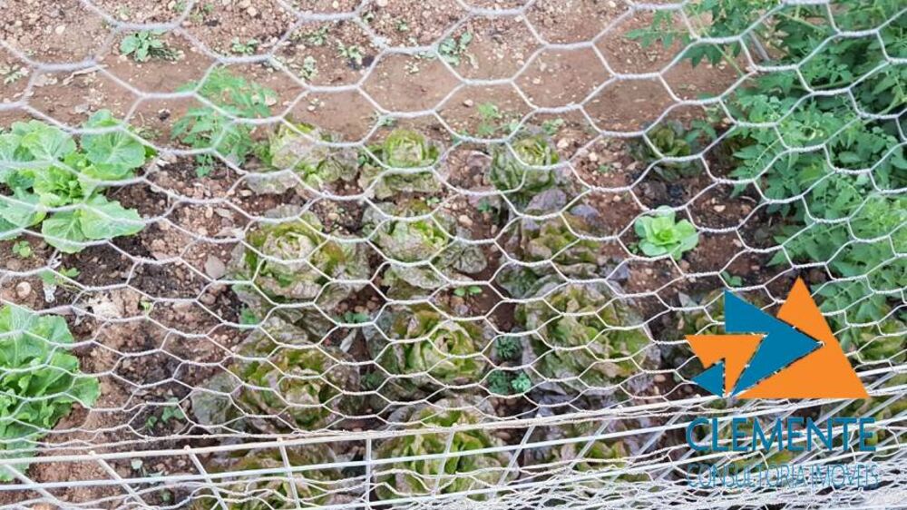 Casa de Condomínio, 6 quartos - Foto 7