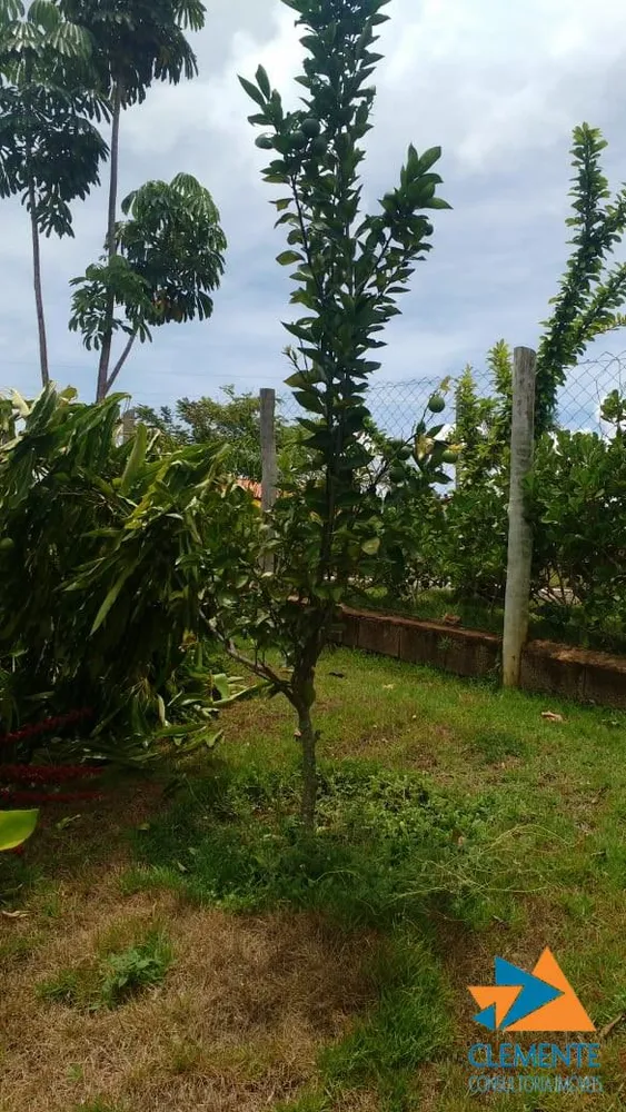 Casa, 4 quartos, 270 m² - Foto 11