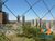 Apartamento, 4 quartos, 220 m² - Foto 10