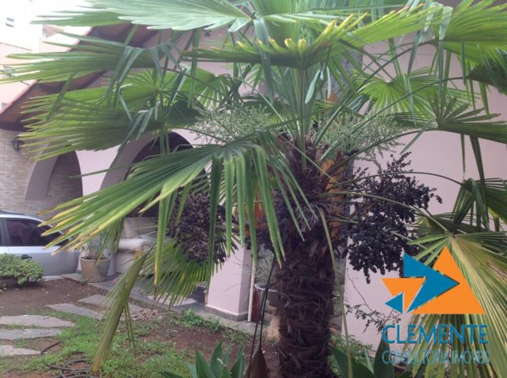 Casa, 7 quartos, 350 m² - Foto 3