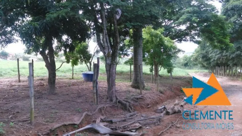 Terreno, 10 hectares - Foto 2