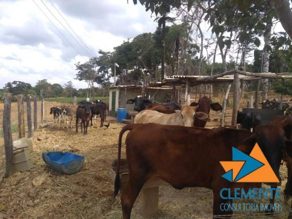 Fazenda, 250 m² - Foto 10