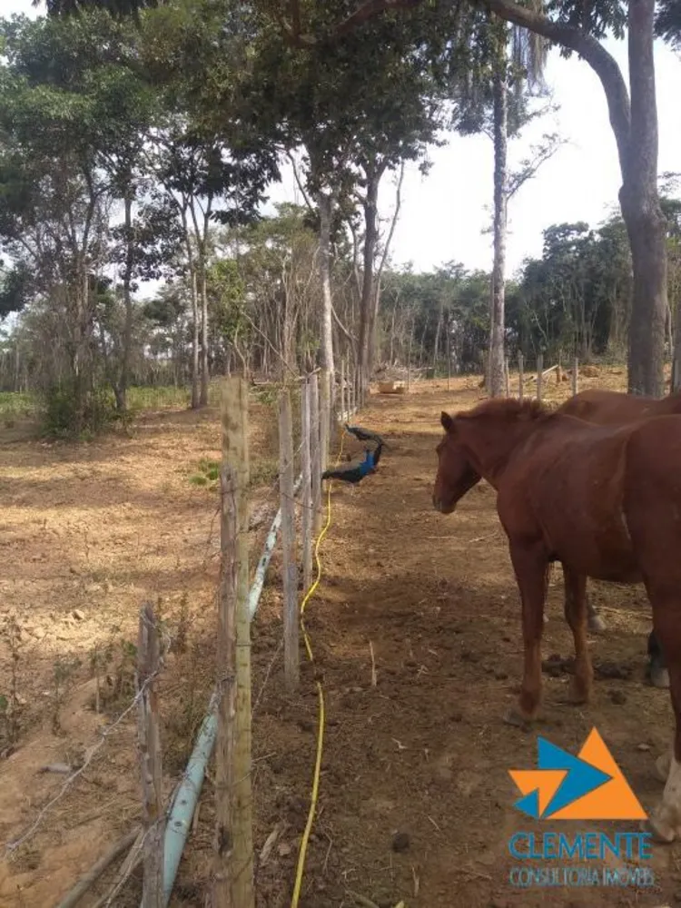 Fazenda, 250 m² - Foto 10