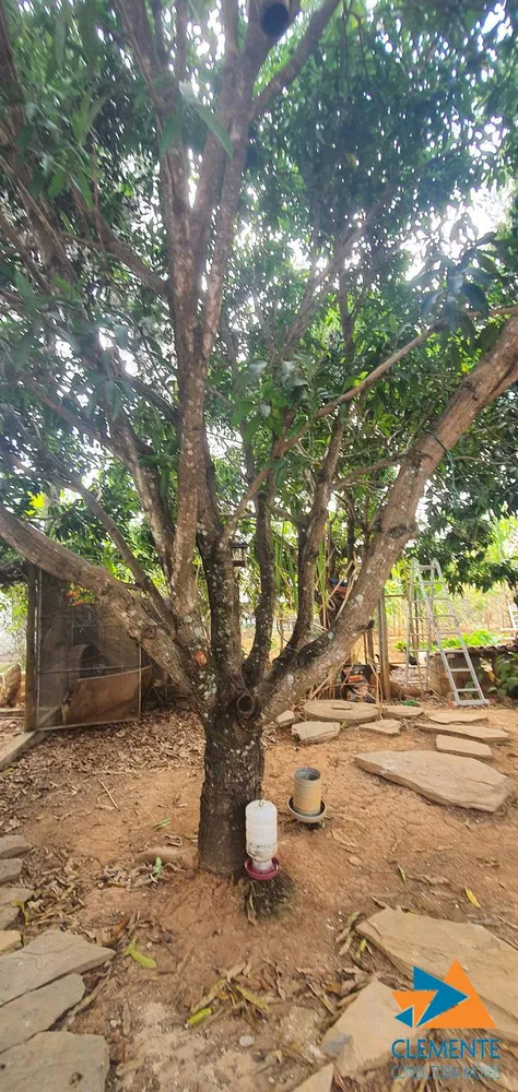 Casa de Condomínio, 5 quartos - Foto 4