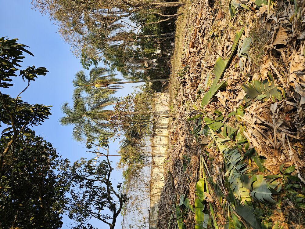 Terreno, 1000 m² - Foto 12