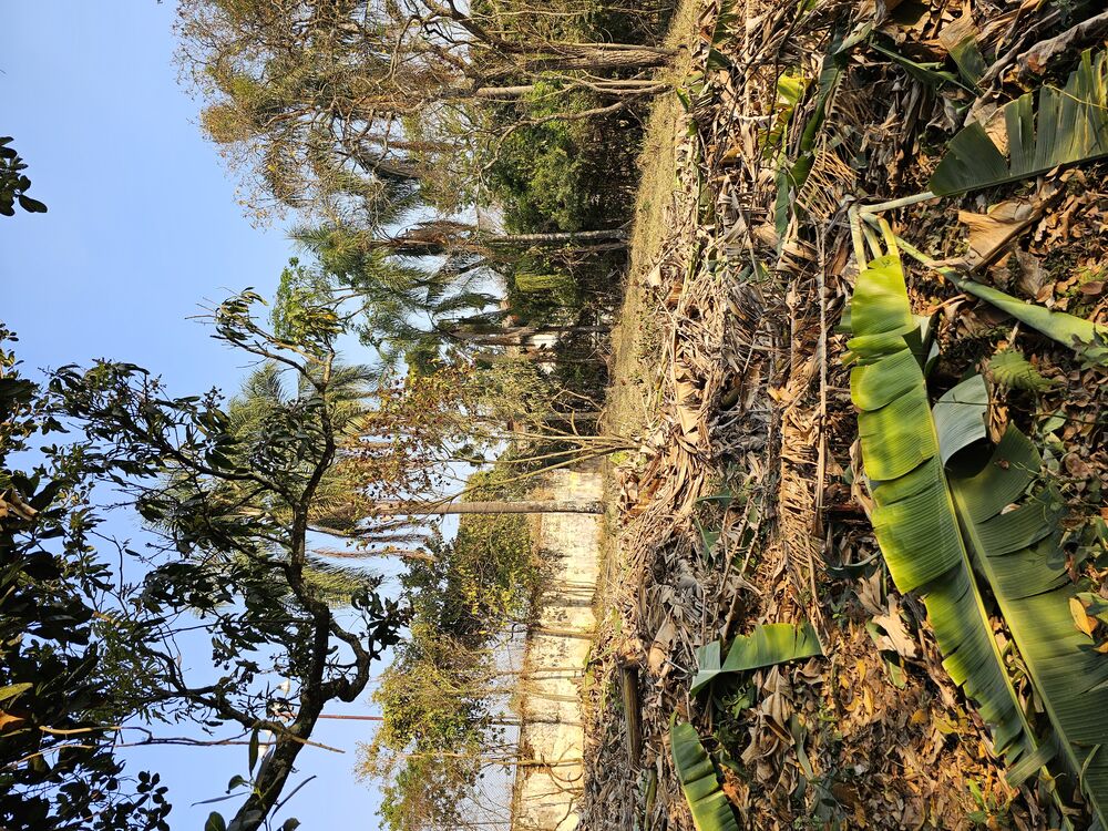 Terreno, 1000 m² - Foto 13