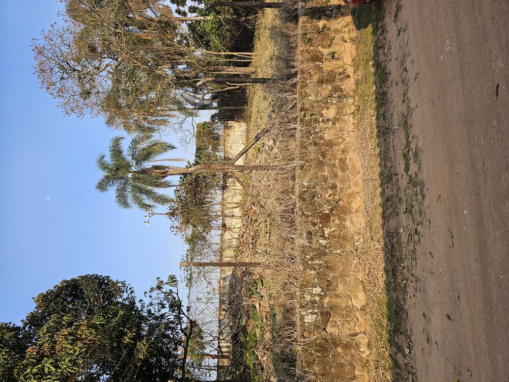 Terreno, 1000 m² - Foto 11