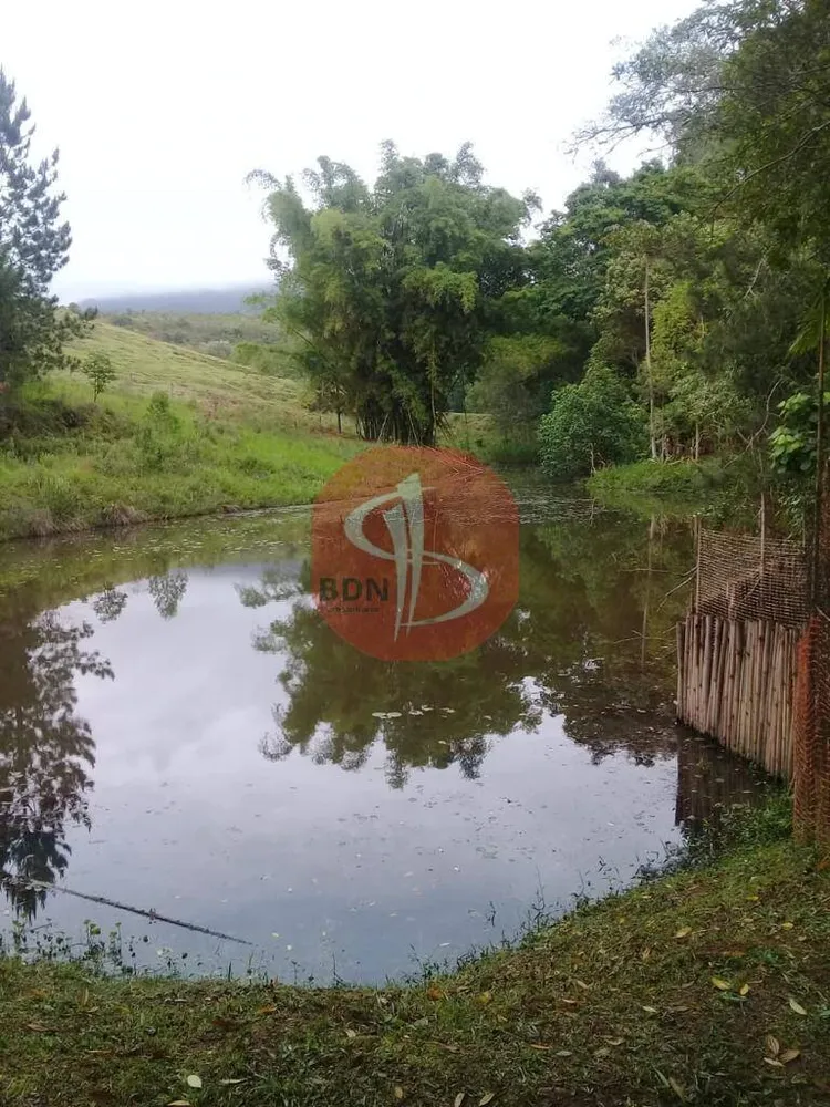 Chácara, 4 quartos, 2 hectares - Foto 4