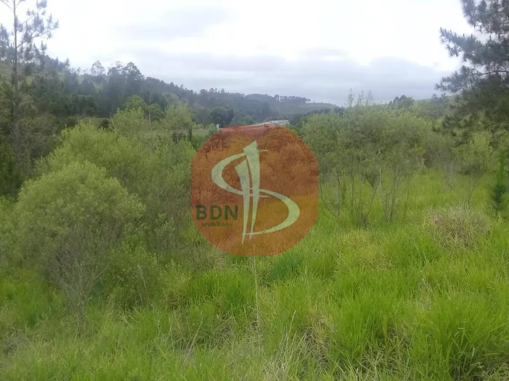 Chácara, 4 quartos, 2 hectares - Foto 1