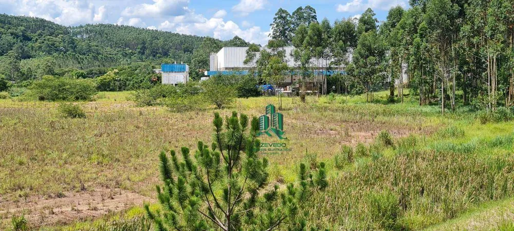 Terreno, 5 hectares - Foto 2