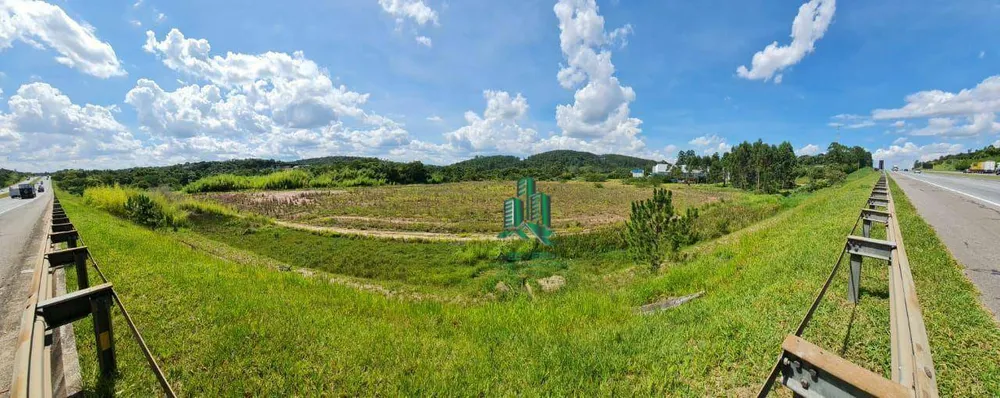 Terreno, 5 hectares - Foto 3