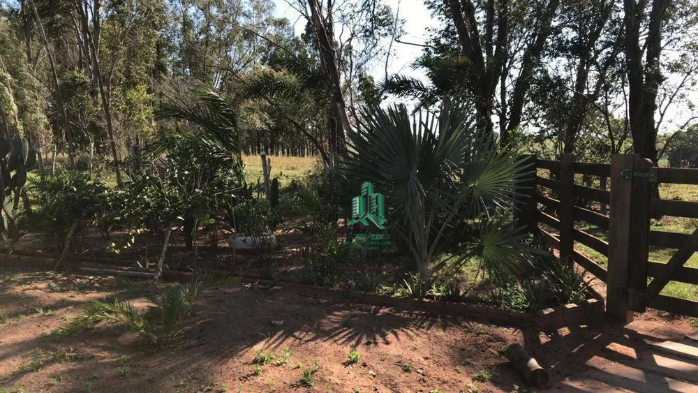 Sítio, 5 quartos, 19 hectares - Foto 11