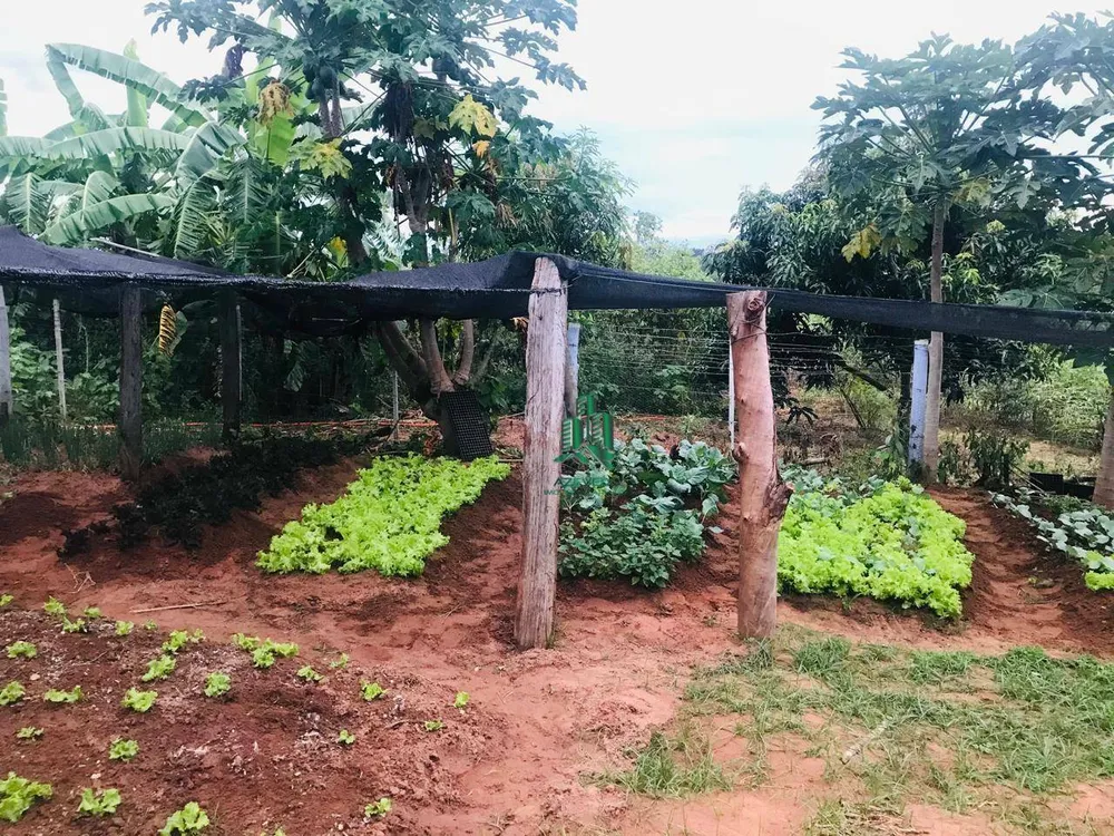 Sítio, 5 quartos, 19 hectares - Foto 10