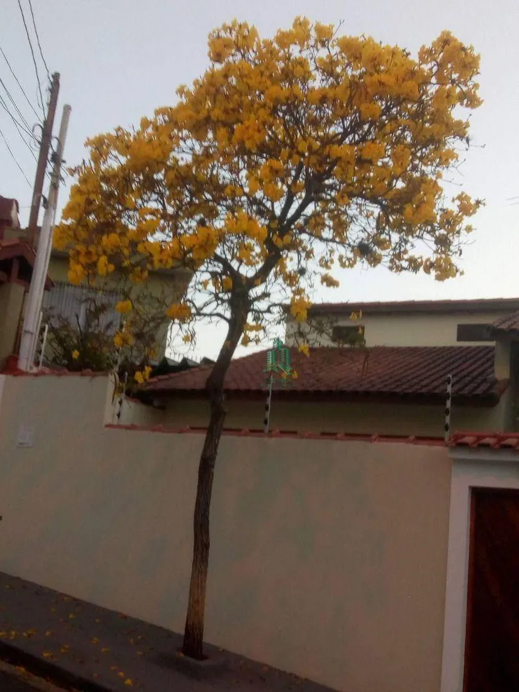 Casa, 3 quartos, 356 m² - Foto 3