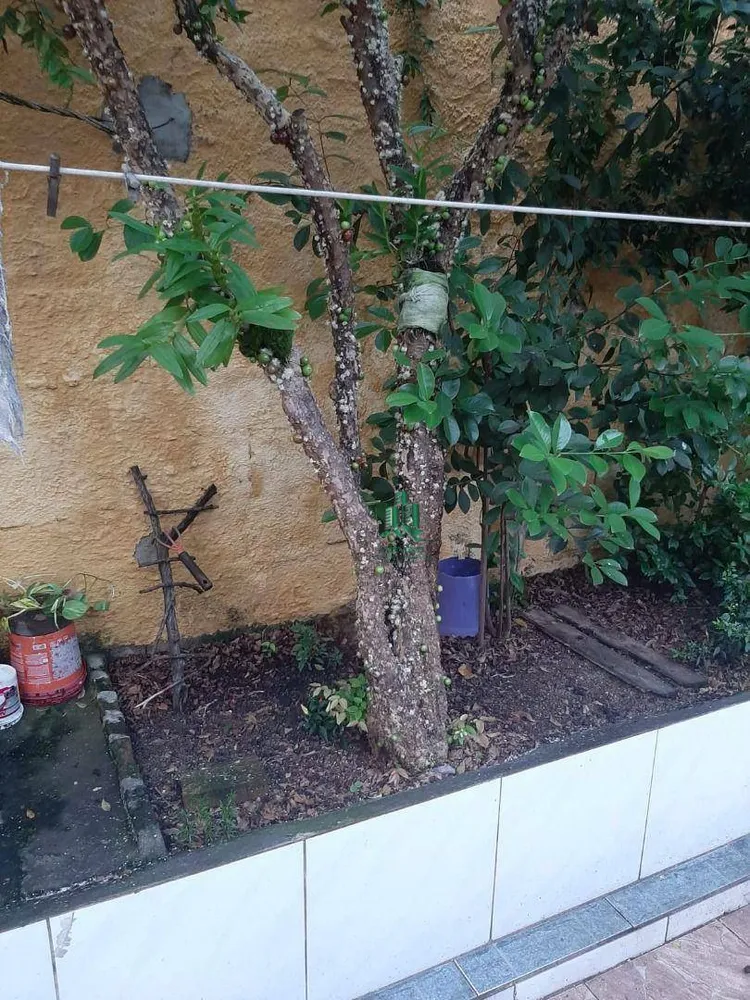 Casa, 3 quartos, 156 m² - Foto 7
