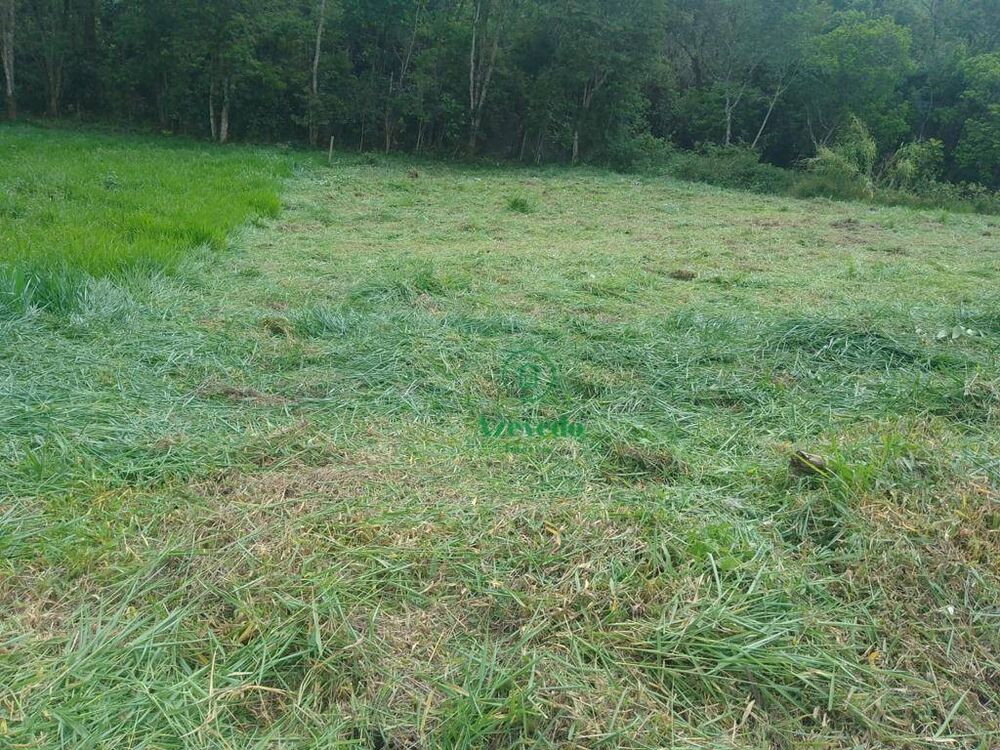 Loteamento e Condomínio, 1275 m² - Foto 3