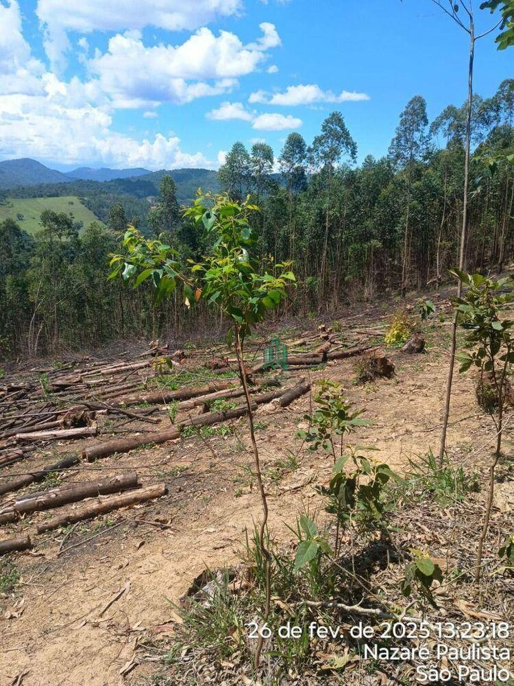 Terreno à venda, 13800M2 - Foto 1
