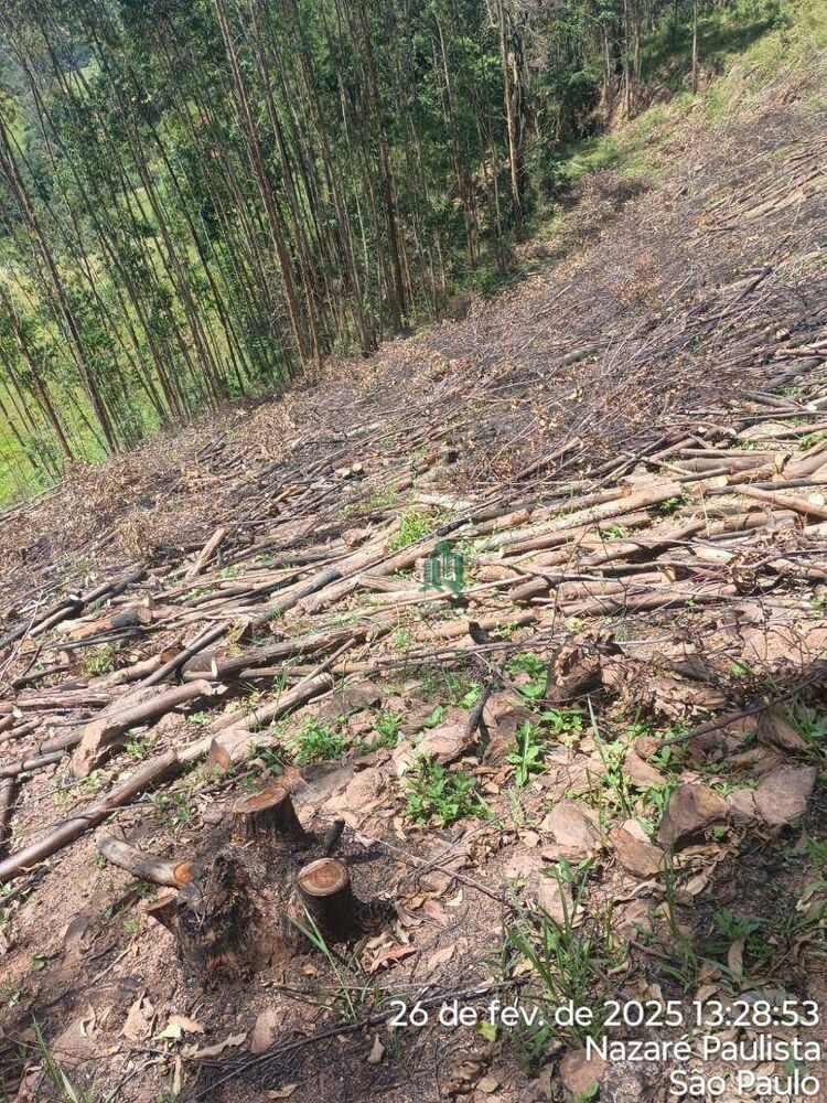 Terreno à venda, 13800M2 - Foto 4