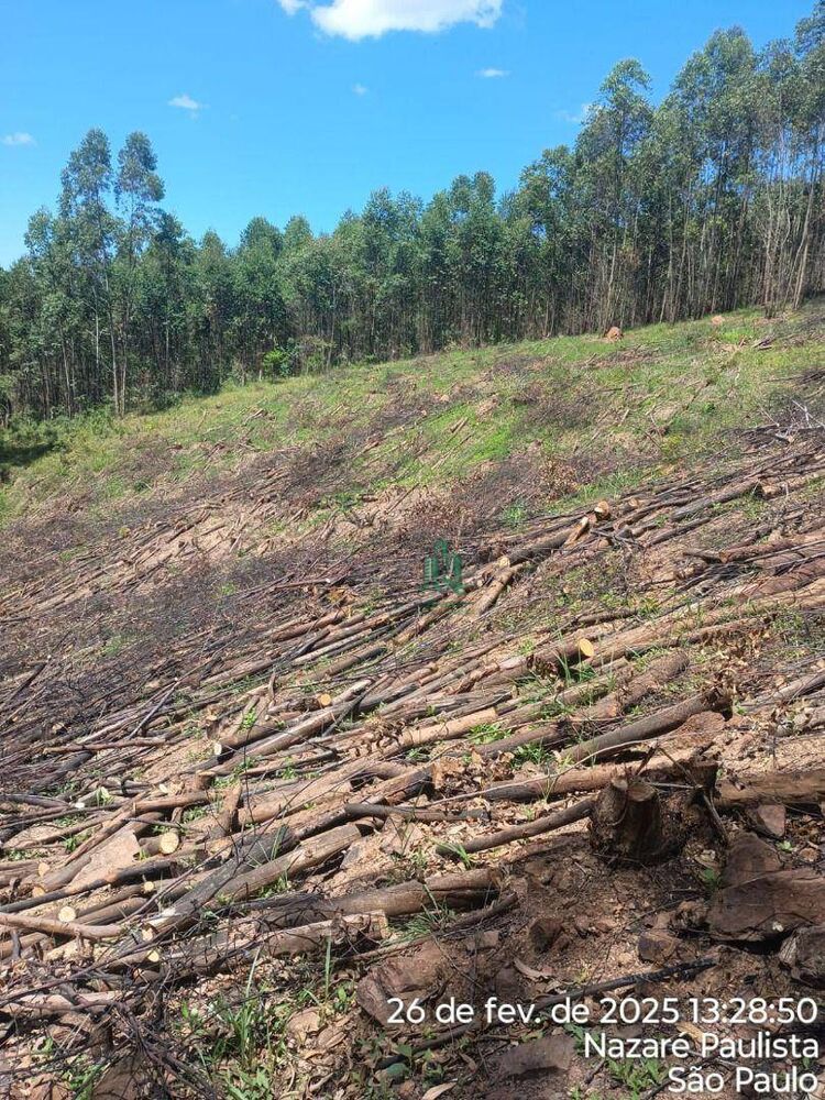 Terreno à venda, 13800M2 - Foto 3