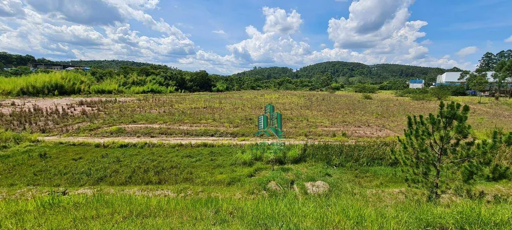 Terreno, 5 hectares - Foto 3