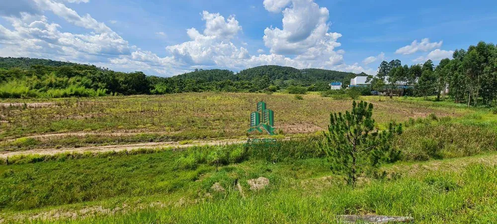 Terreno, 5 hectares - Foto 2