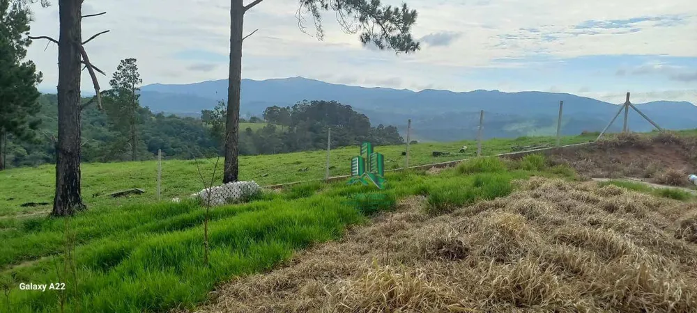 Terreno, 800 m² - Foto 7