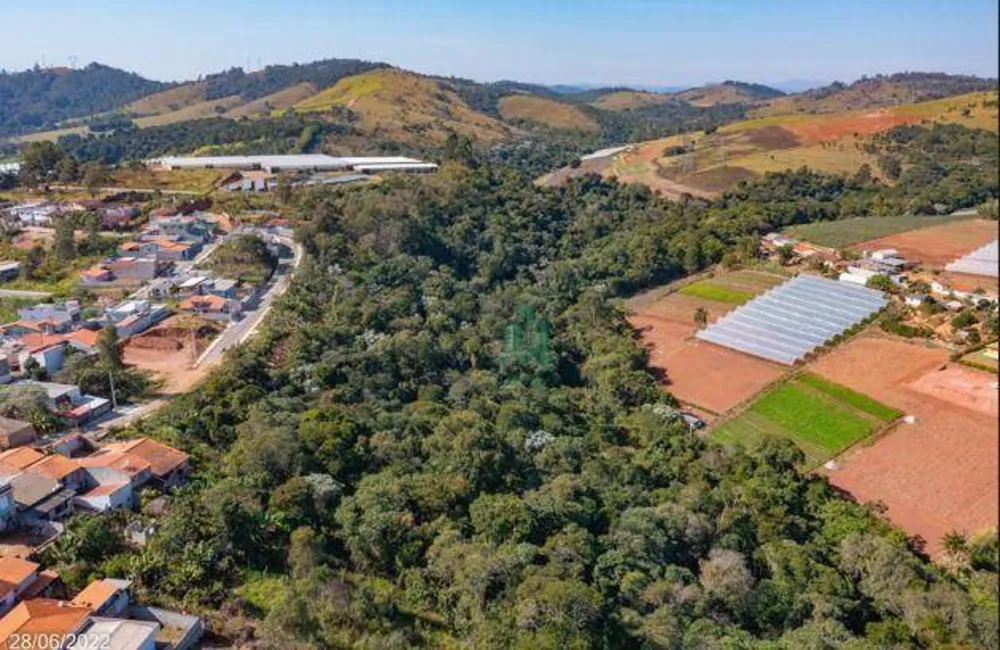 Terreno, 8 hectares - Foto 4