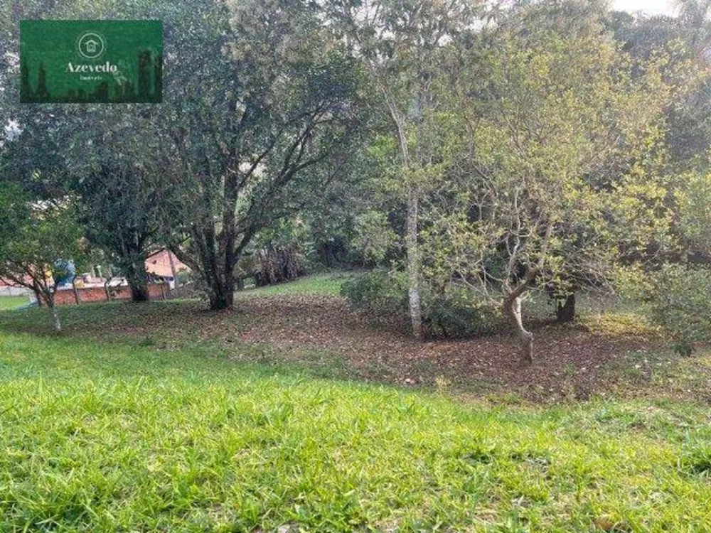 Chácara, 2 quartos, 3060 m² - Foto 8