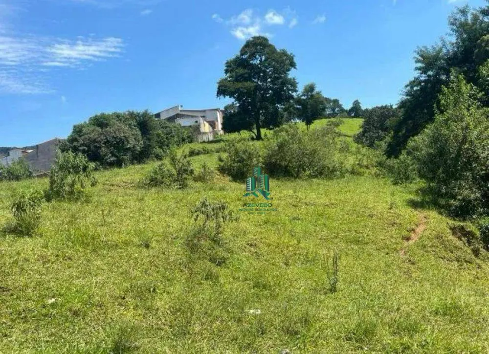 Terreno, 1 hectares - Foto 7