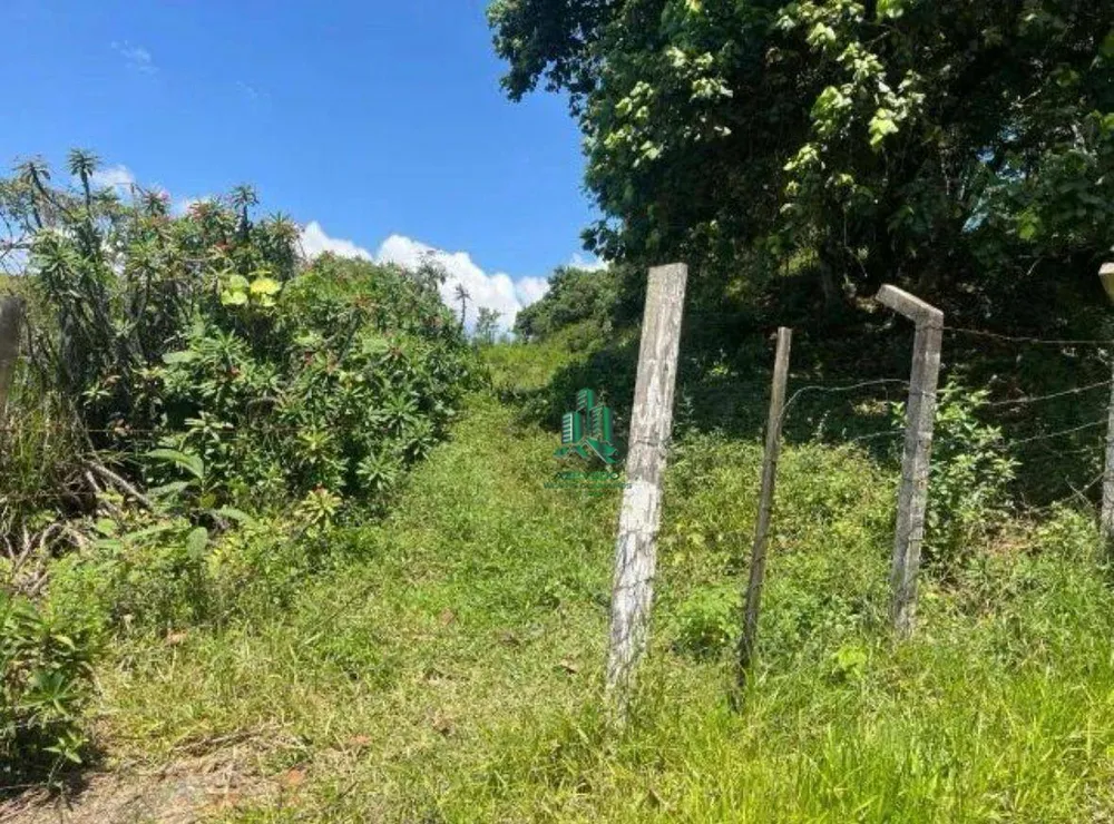 Terreno, 1 hectares - Foto 11