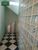 Sobrado, 4 quartos, 250 m² - Foto 1