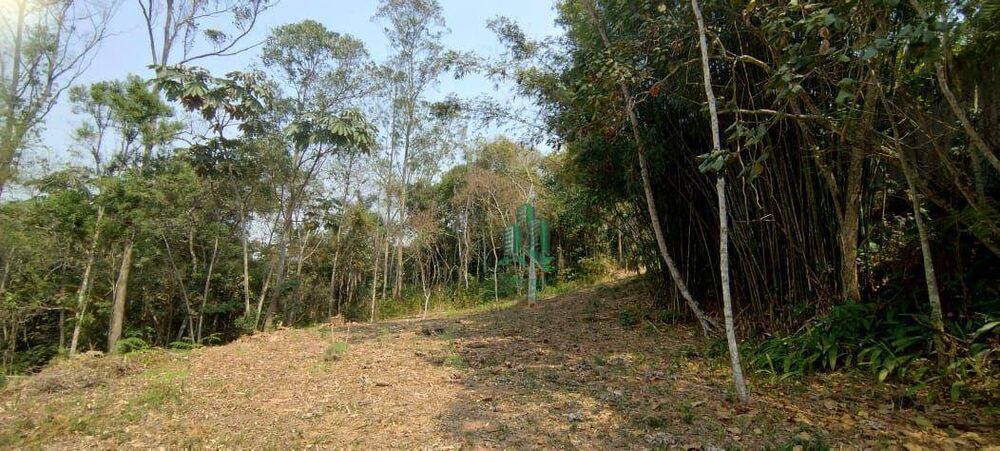 Terreno, 3500 m² - Foto 2