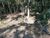 Terreno, 3500 m² - Foto 3
