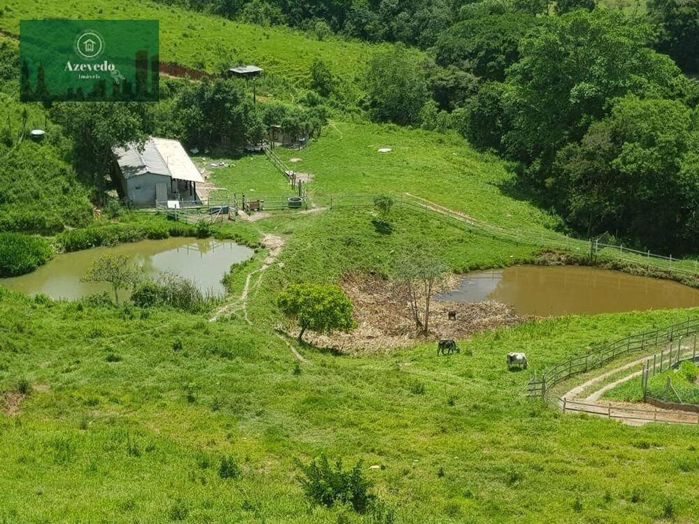 Chácara à venda com 5 quartos, 49M2 - Foto 4