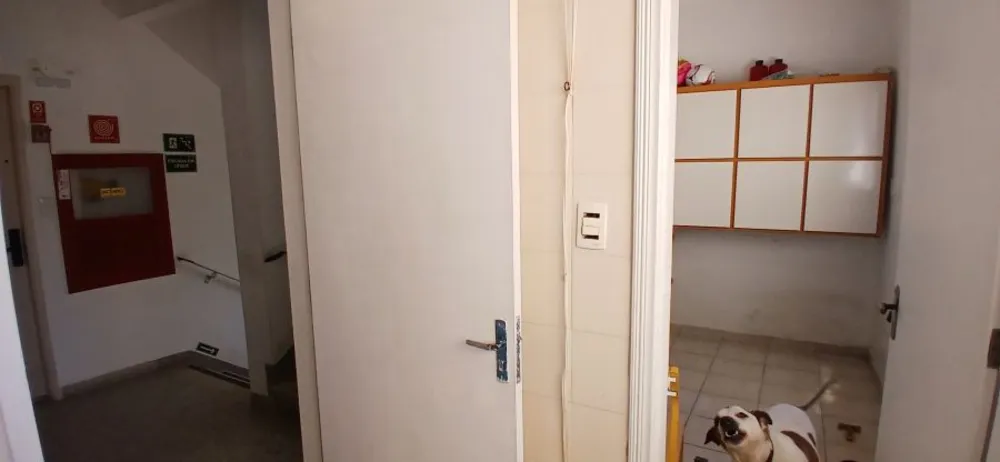 Apartamento, 3 quartos, 175 m² - Foto 10