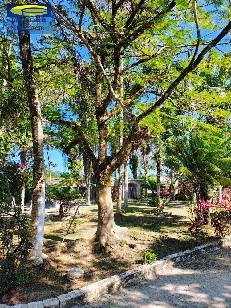 Chácara, 8 quartos, 2 hectares - Foto 4