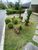 Casa, 4 quartos, 400 m² - Foto 3