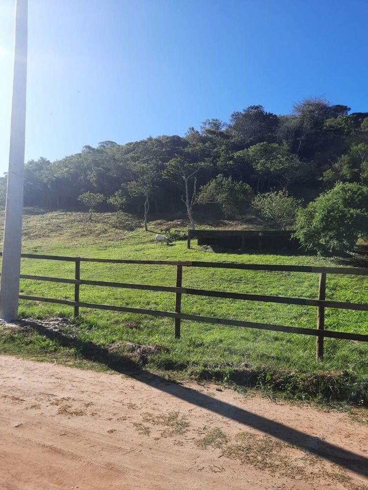 Terreno, 1 hectares - Foto 6