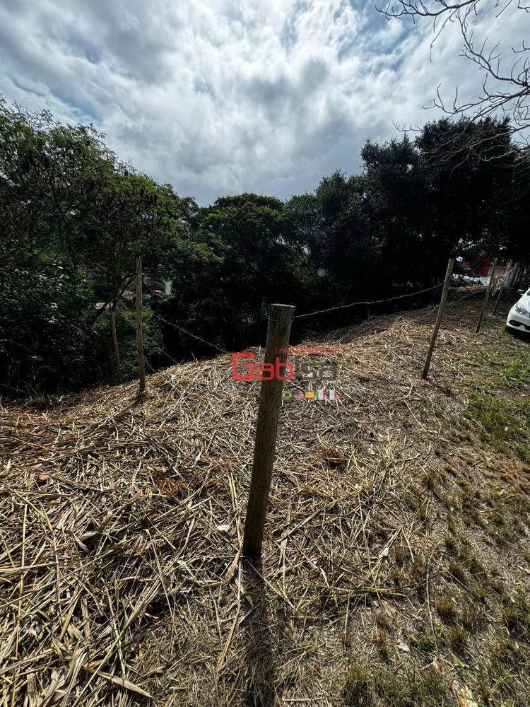 Terreno, 1768 m² - Foto 3
