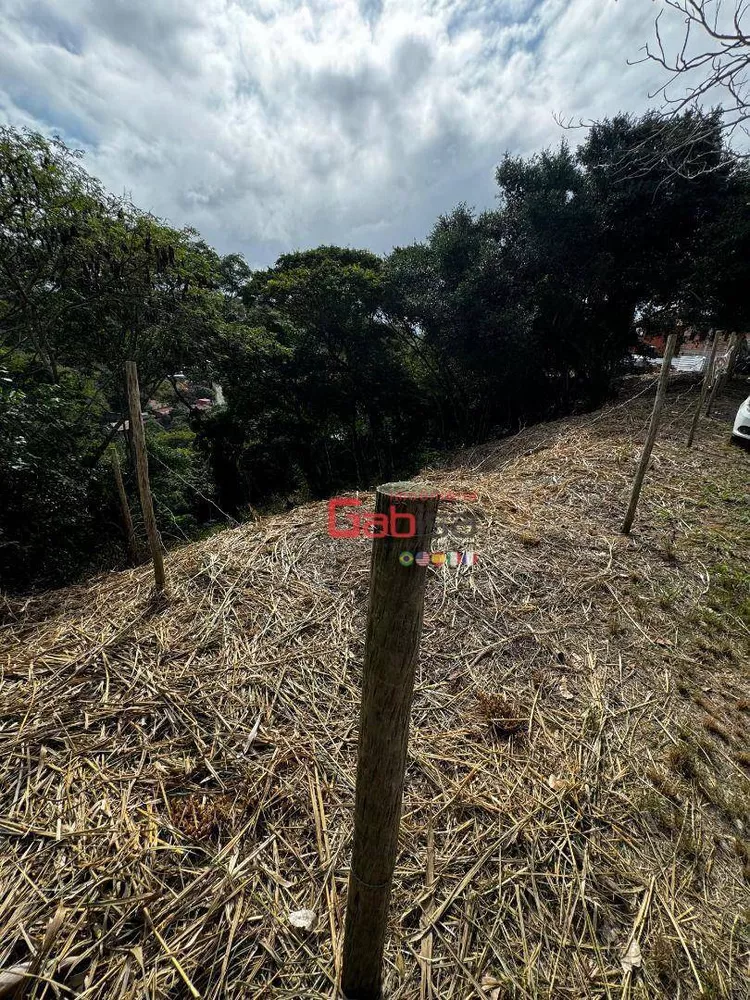 Terreno, 1768 m² - Foto 4