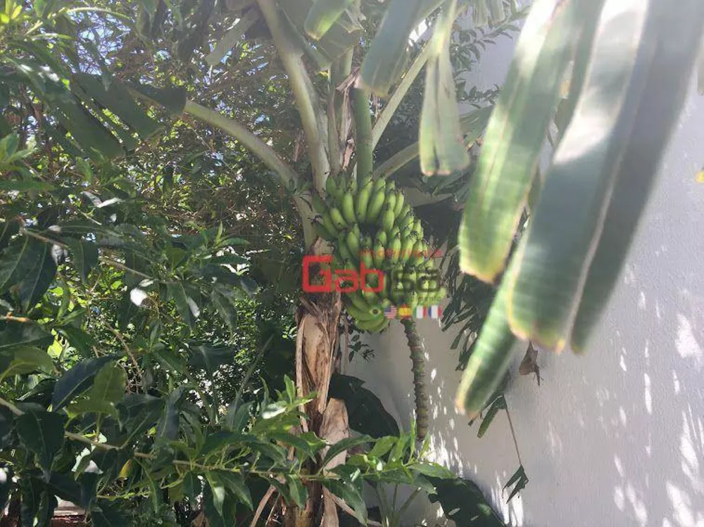 Casa, 4 quartos, 450 m² - Foto 20