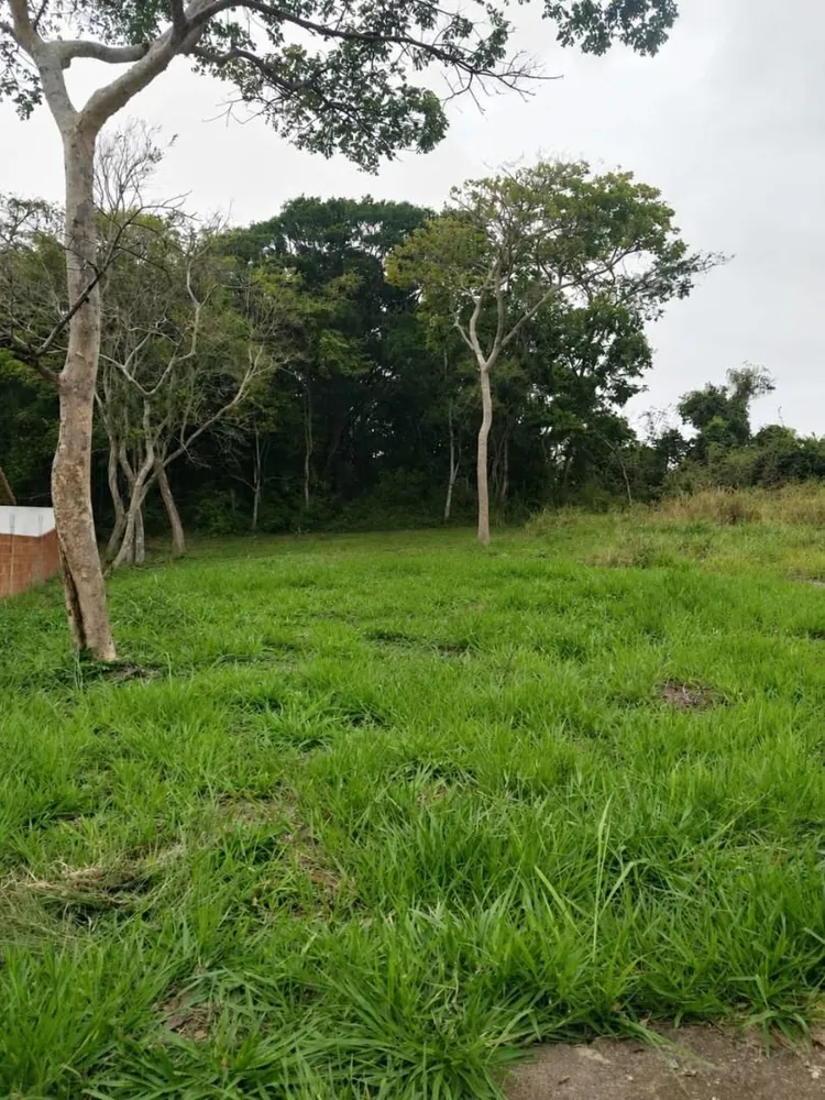 Terreno, 330 m² - Foto 1