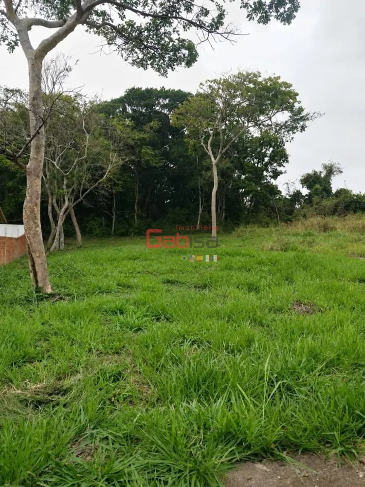 Terreno, 330 m² - Foto 2