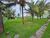 Terreno, 567 m² - Foto 3