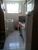 Apartamento, 2 quartos, 75 m² - Foto 5